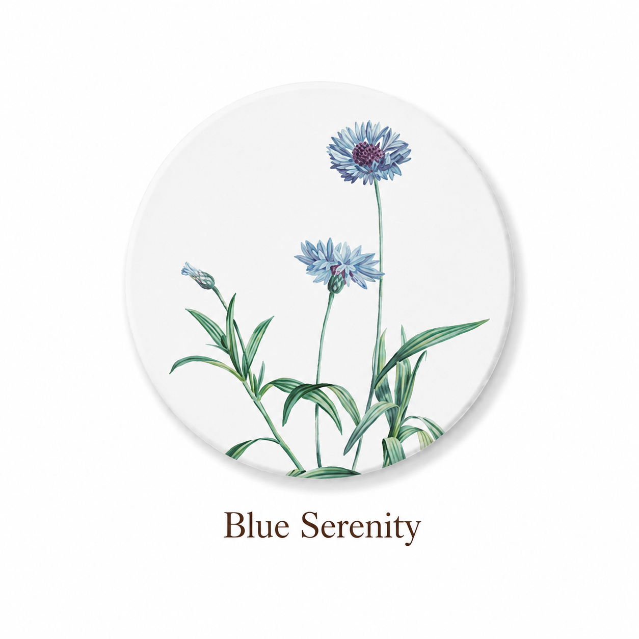 Watercolour Diatomite Coaster