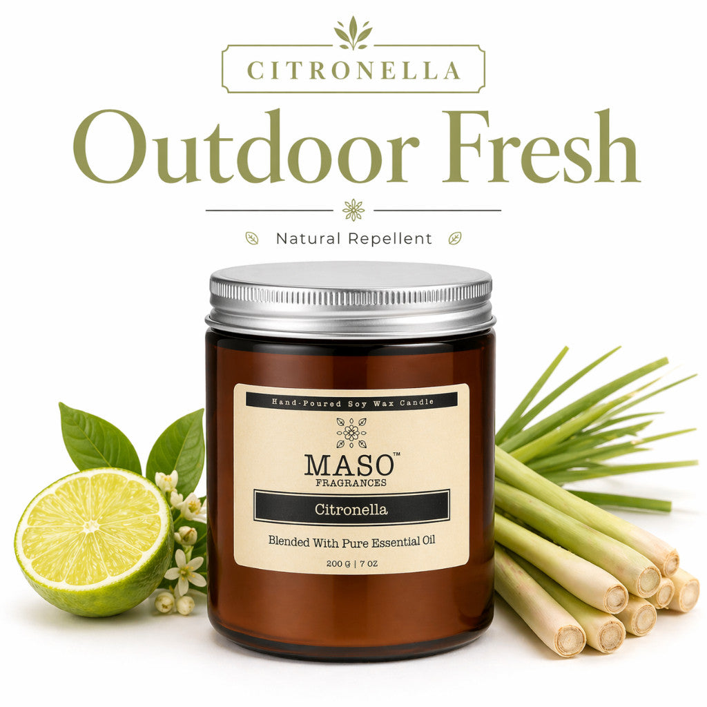 Maso scented soy candle for home fragrance
