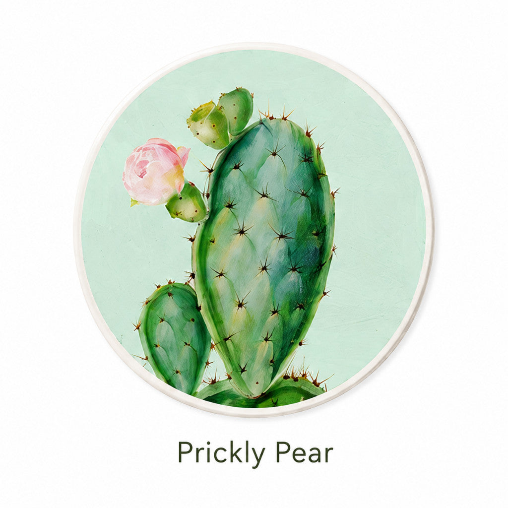 Nordic Diatomite Coaster - Olive Leaves | Maso Singapore